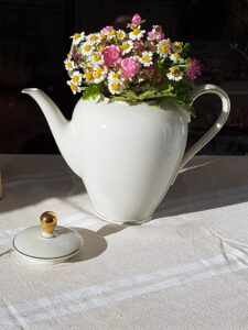 Kaffekanne gefüllt mit Blumen